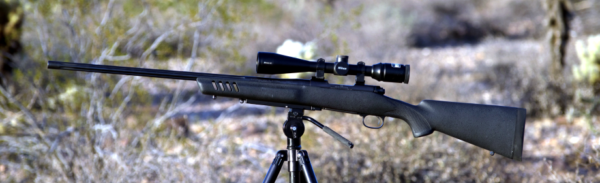 Aristotle Engineering Rifle Railz